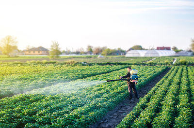 Farmer with a mist sprayer blower processes the potato plantation. protection and care. fumigator 