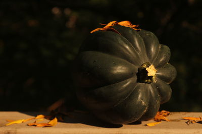 Close-up of pumpkin