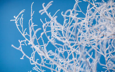 Close-up of blue sky
