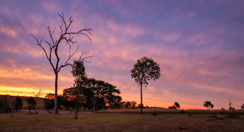 Silhouette trees on field against sky at sunset