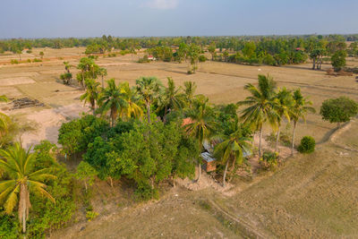 Scenic view of farm against sky