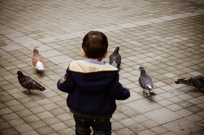 Rear view of two people walking with ducks