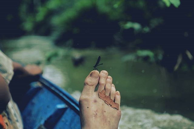 person, holding, part of, cropped, focus on foreground, lifestyles, human finger, unrecognizable person, leisure activity, men, close-up, personal perspective, occupation, selective focus, outdoors, day, working