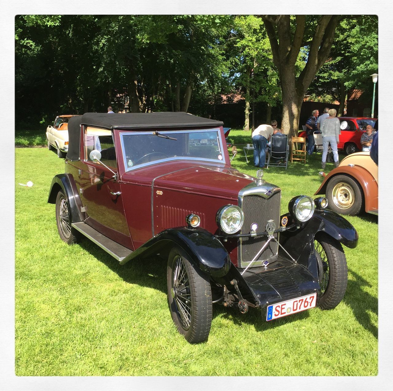 VIEW OF TRUCK IN PARK