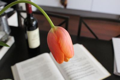 Close-up of orange tulip by sheet music on table at home