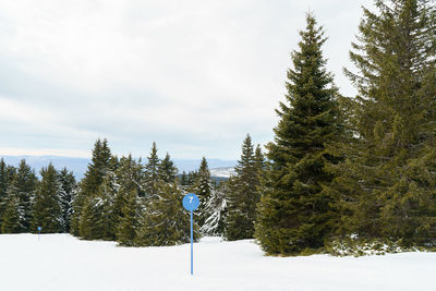 Trees on snow covered field against sky