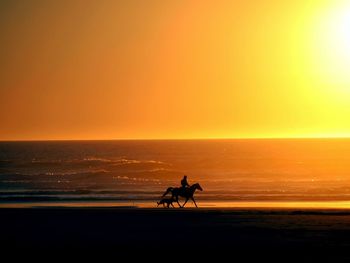 Silhouette man riding horse with dog on beach during sunset