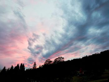 Silhouette of trees against dramatic sky