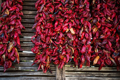 High angle view of red chili peppers for sale