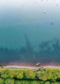 High angle view of plants on land