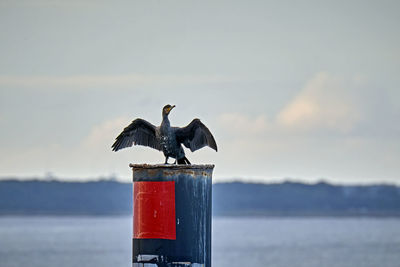 Birds perching on wooden post by sea against sky