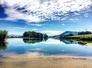 Reflection of trees in calm lake