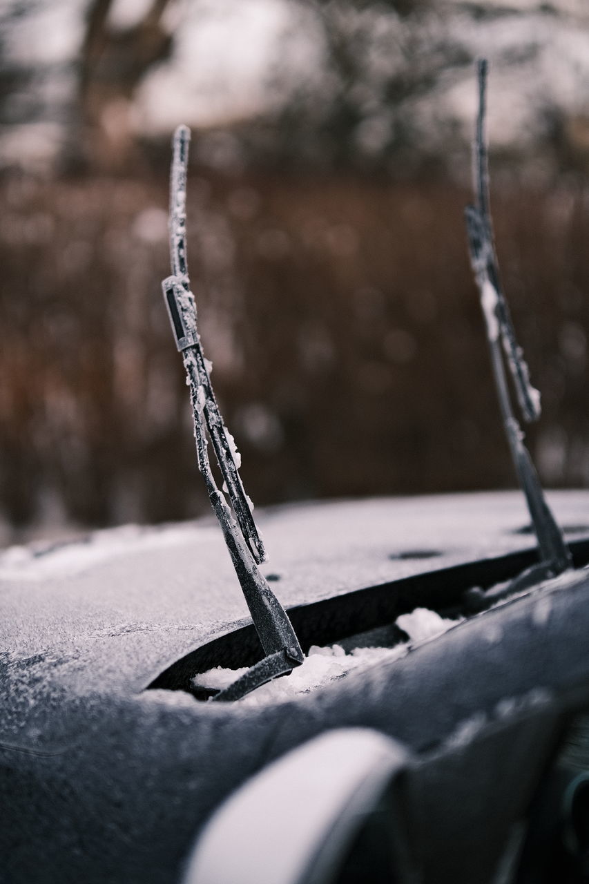 CLOSE-UP OF ROPE ON SNOW COVERED TREE