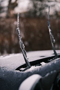 Close-up of snow on wood