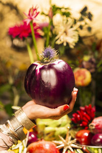 Close-up of hand holding red flower