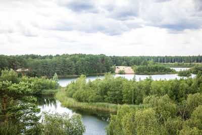 Scenic view of river amidst trees against sky