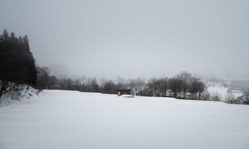 Trees on snow covered field against sky