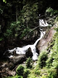 Scenic view of waterfall in forest