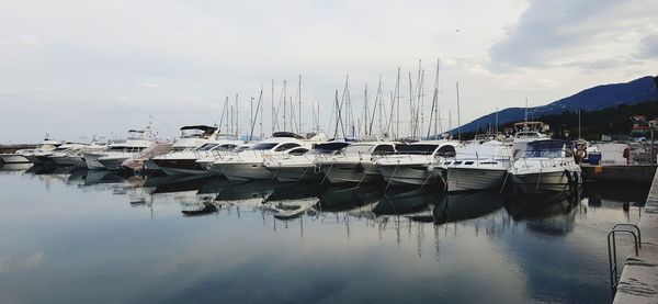 Boats moored in harbor against sky