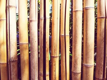 Full frame shot of bamboo fence