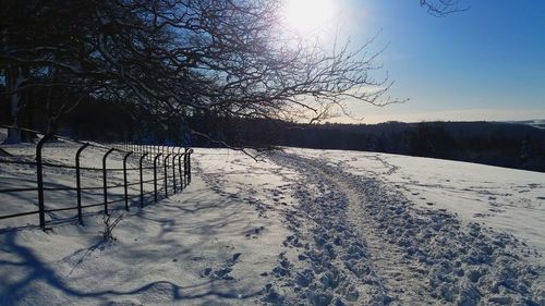 Bare trees on snow covered field against sky