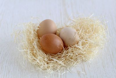 Close-up of eggs