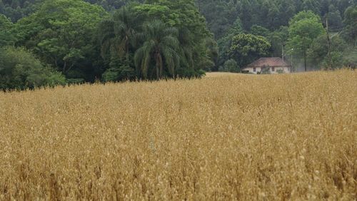 View of rural landscape