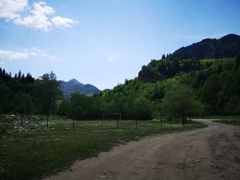 Scenic view of road amidst trees against sky