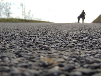 Surface level of horse walking on landscape against sky