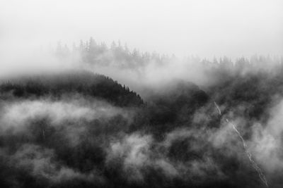 Scenic view of fog in forest against sky during foggy weather