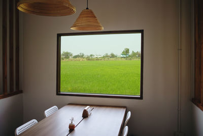 Trees seen through home window