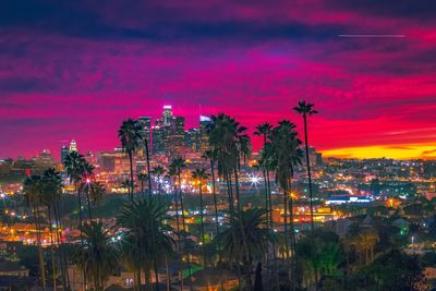 Trees and illuminated cityscape against sky at dusk