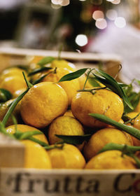 Close-up of fruits for sale at market stall