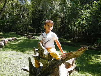 Boy sitting on dead tree at park