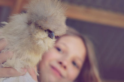 Low angle view of woman holding silkie
