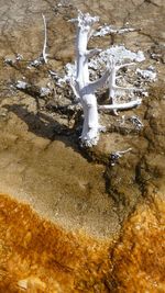 High angle view of frozen water on land