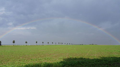 Scenic view of rainbow over grassy landscape against cloudy sky