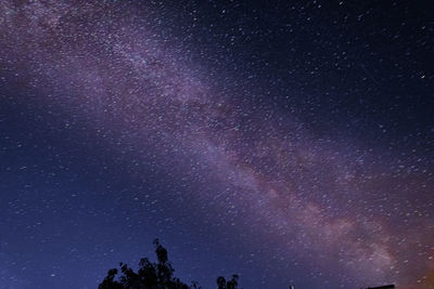 Low angle view of star field against sky at night