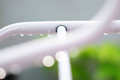 Close-up of water drops on blade of grass