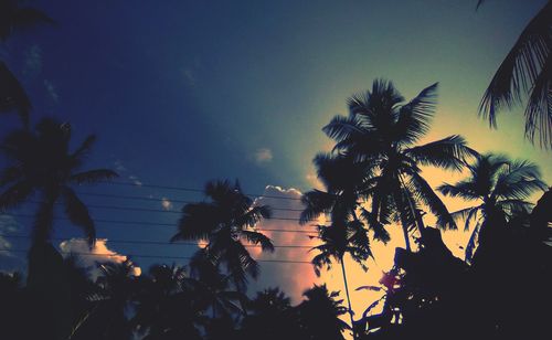 Low angle view of silhouette palm trees against sky at sunset