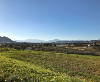 Scenic view of field against clear blue sky