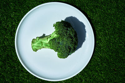 High angle view of broccoli in plate on field