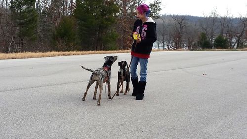 Teenage girl with dogs standing on road