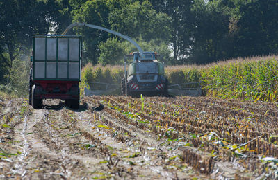 Agricultural machinery spraying grains at farm