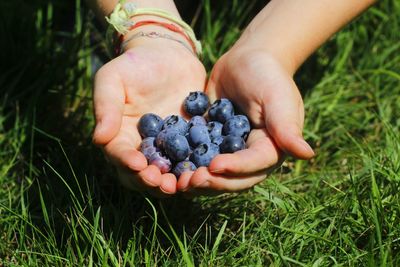 Close-up of hand holding fruit