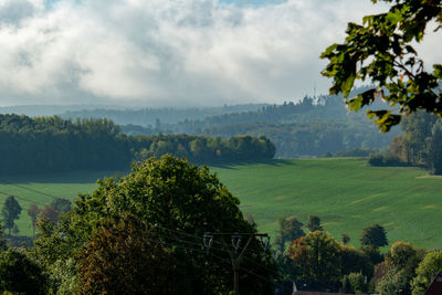 Trees on landscape against sky