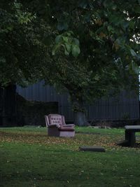 Empty bench in park