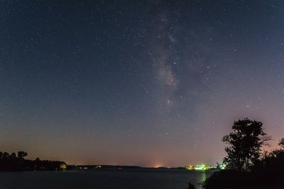 Low angle view of silhouette trees against star field at night