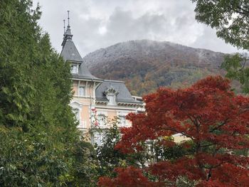 Trees and buildings against sky during autumn