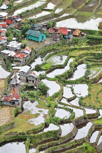 High angle view of houses and trees by buildings